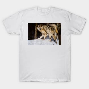 Gray Wolves T-Shirt